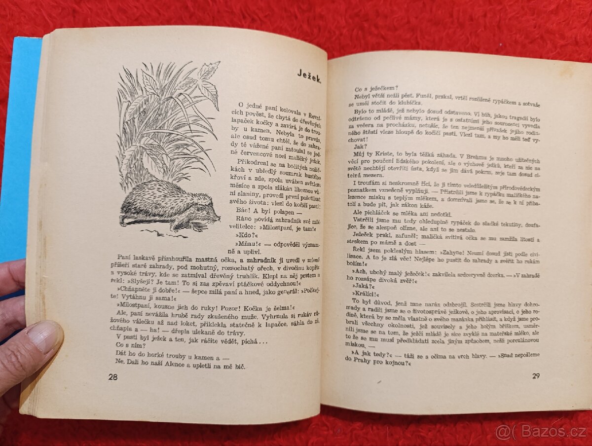 CESTOU A CESTIČKOU - J.H.Týnecký - 7