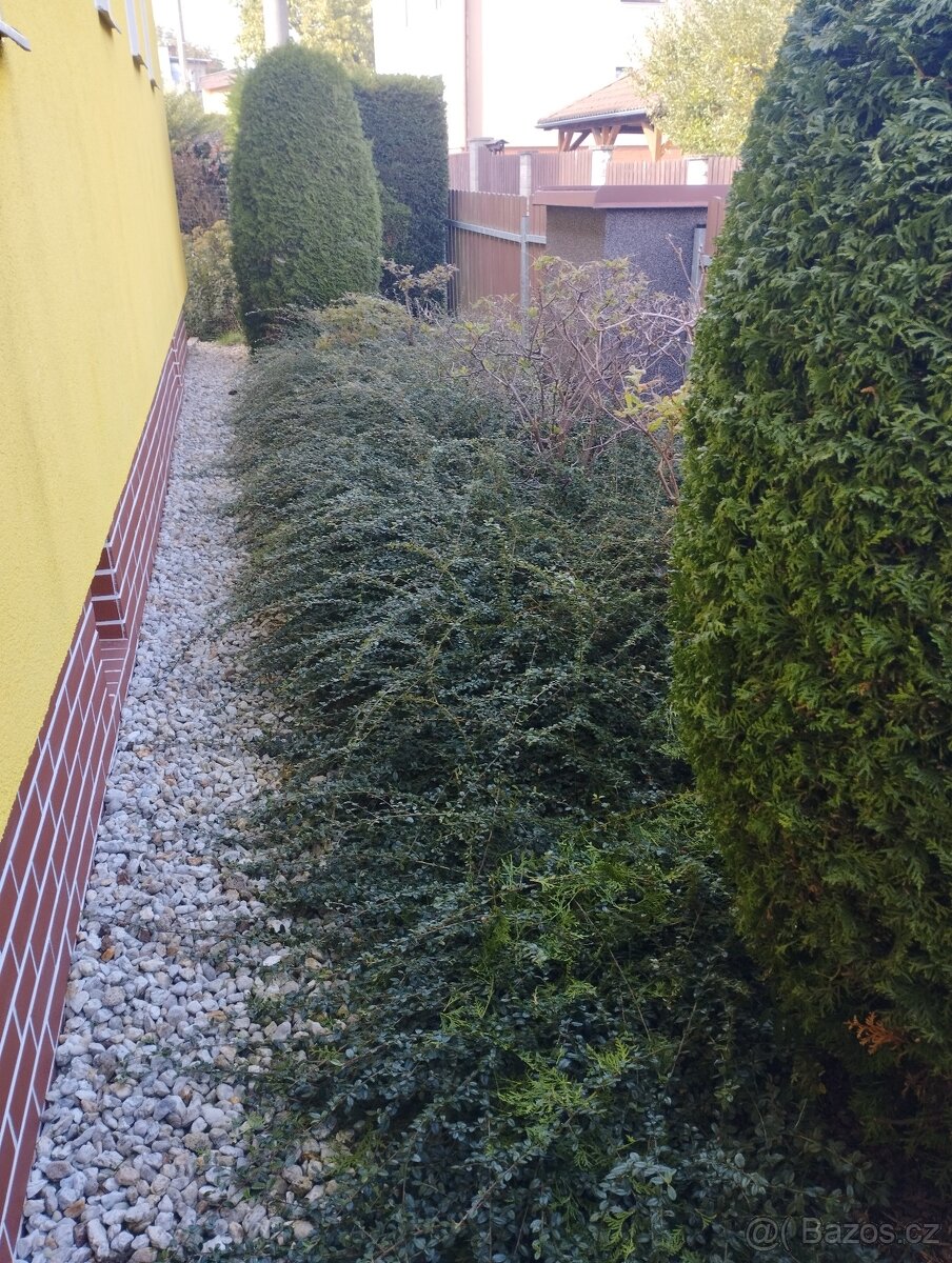 Дом и сад - 7