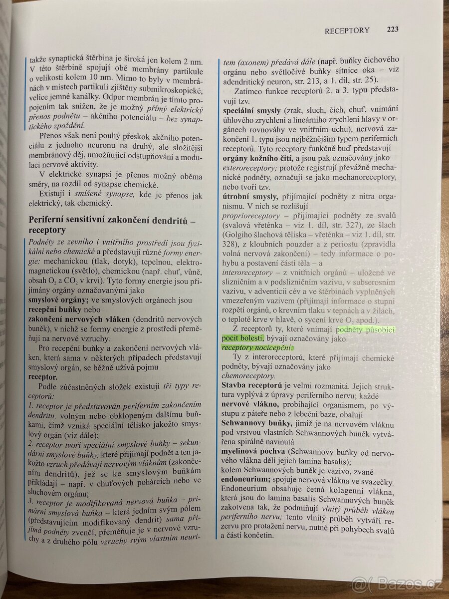 Anatomie 3 - Čihák - 7