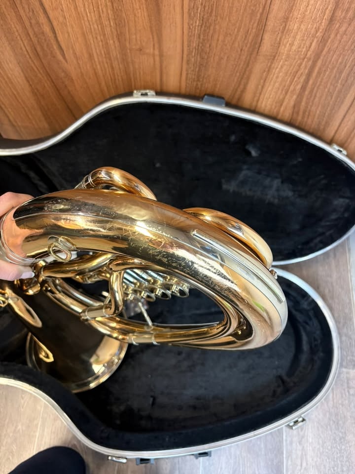 Baryton baskřídlovka V.F. Červený - 7