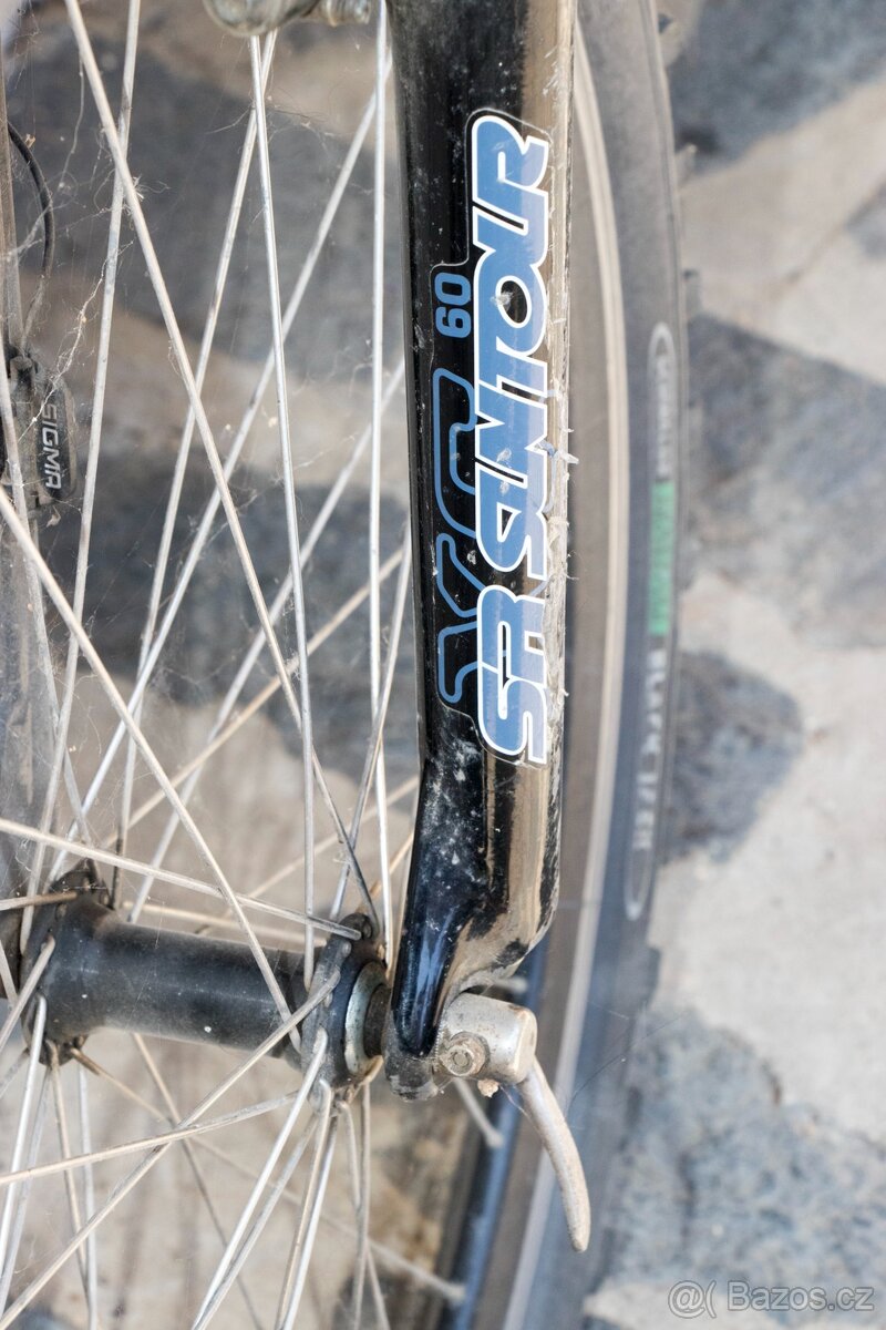 MTB Panther 21,5“ - 7