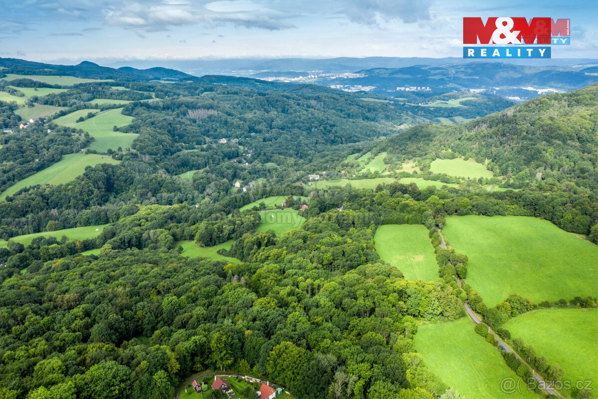 Prodej pastviny s lesním pozemkem 22.174 m² v Homoli u Panny - 7