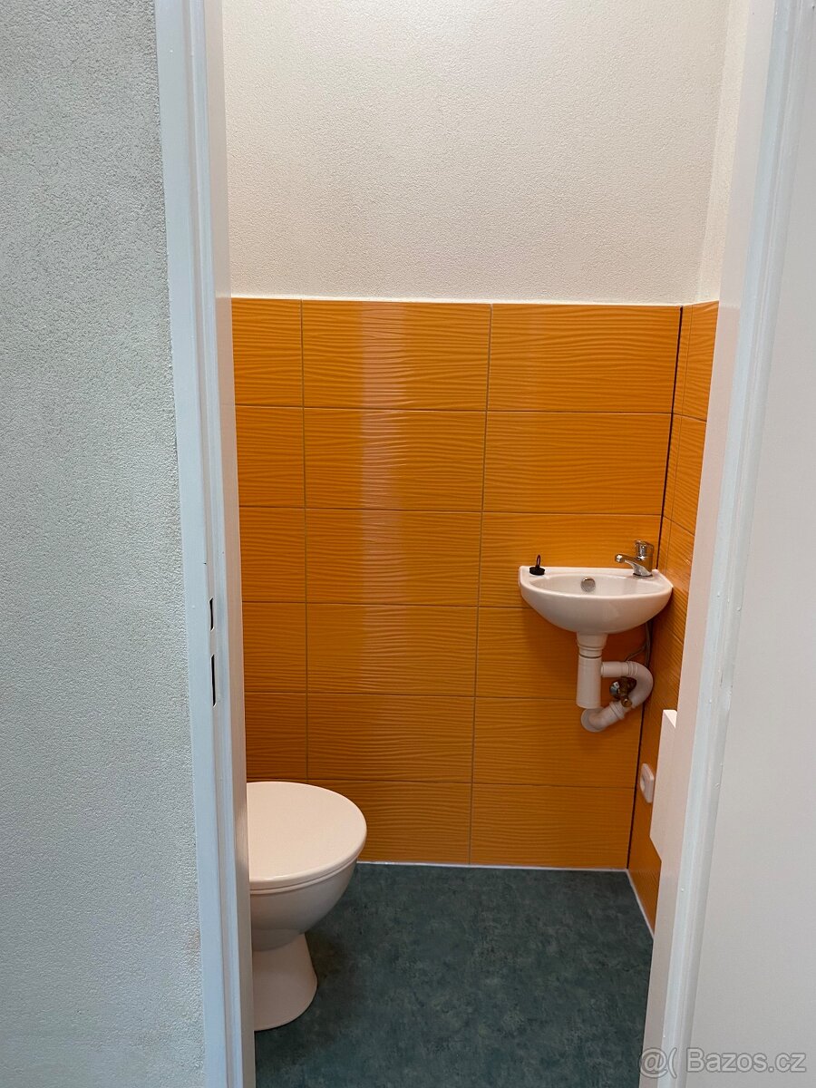 Pronájem nebytového prostoru - 7