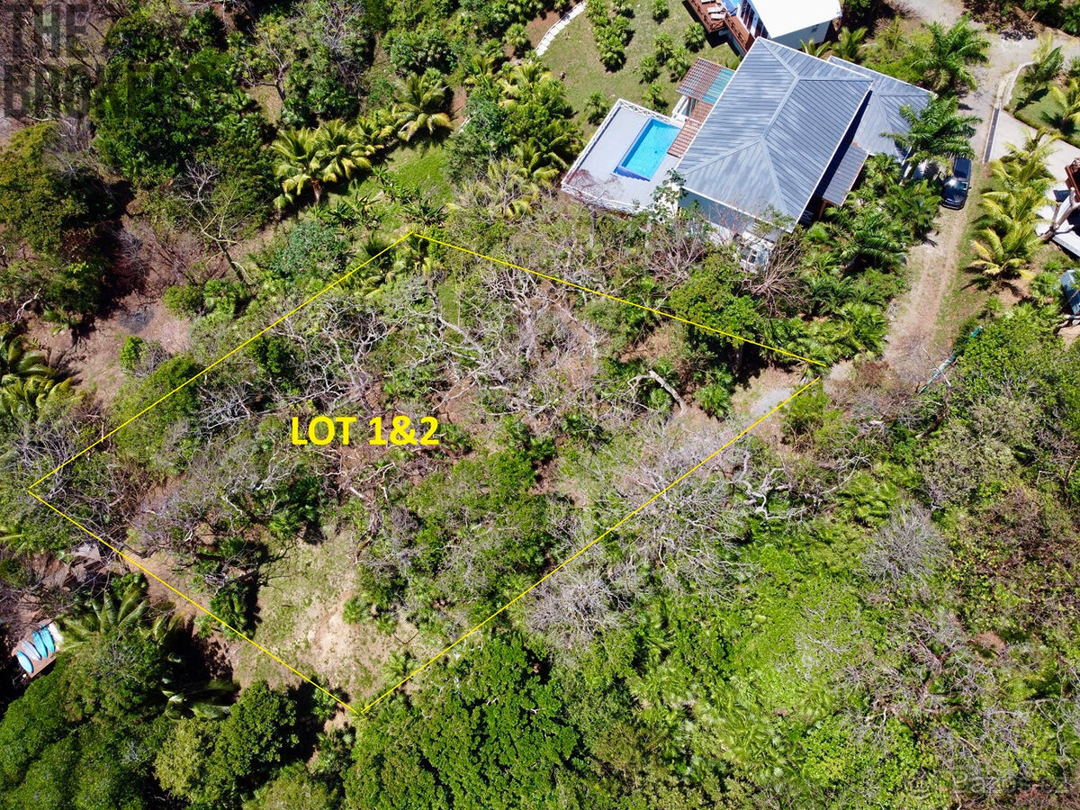 Atocha Lot 1&2 -First Bight, Roatan - 7