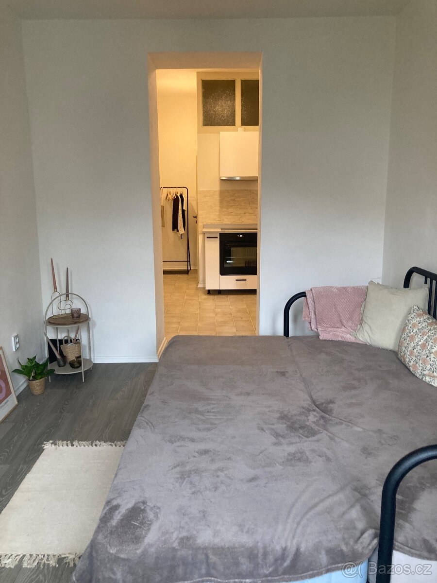 Byt 1+1 Litoměřice - 7