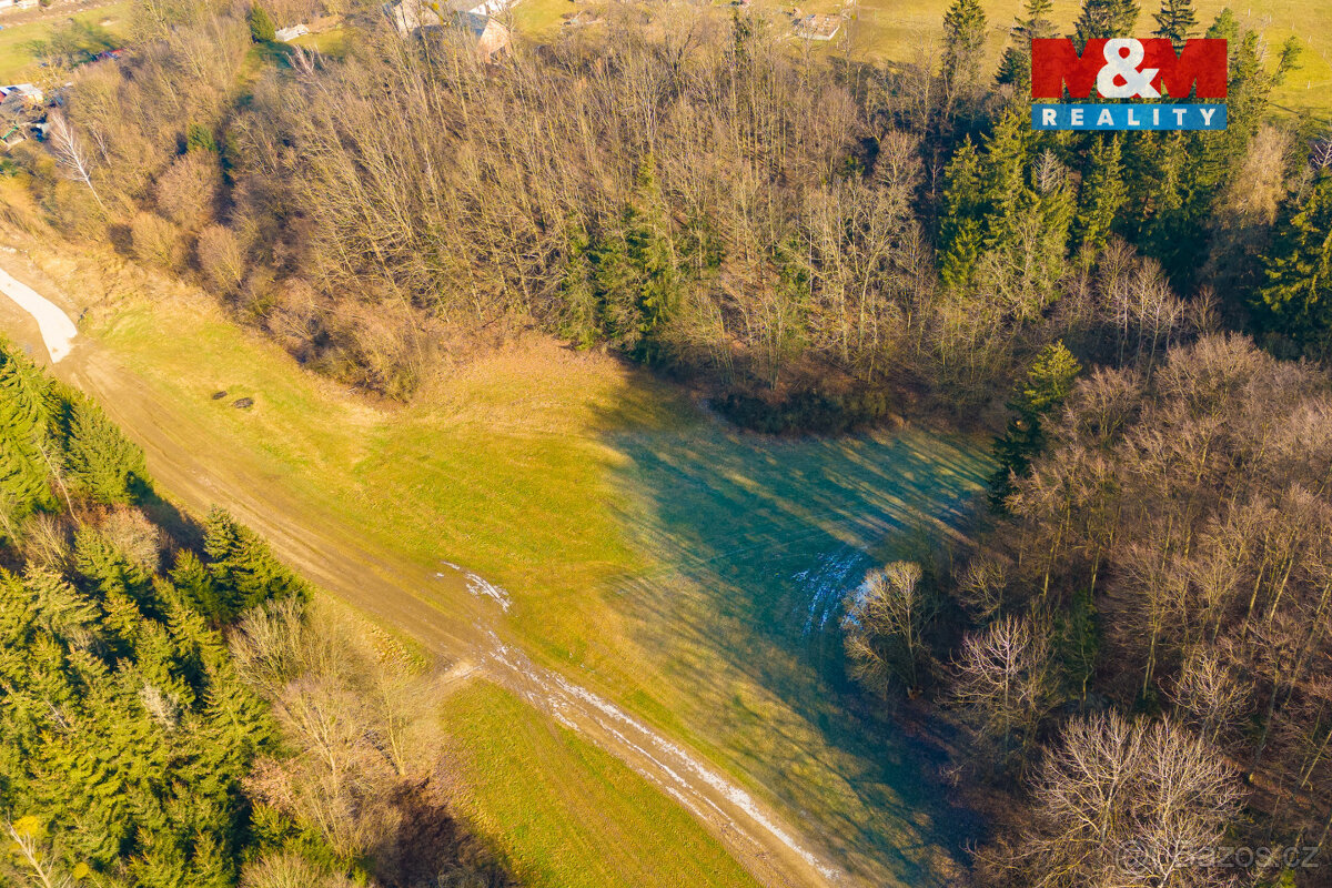 Prodej louky, 2359 m², Karle - 7