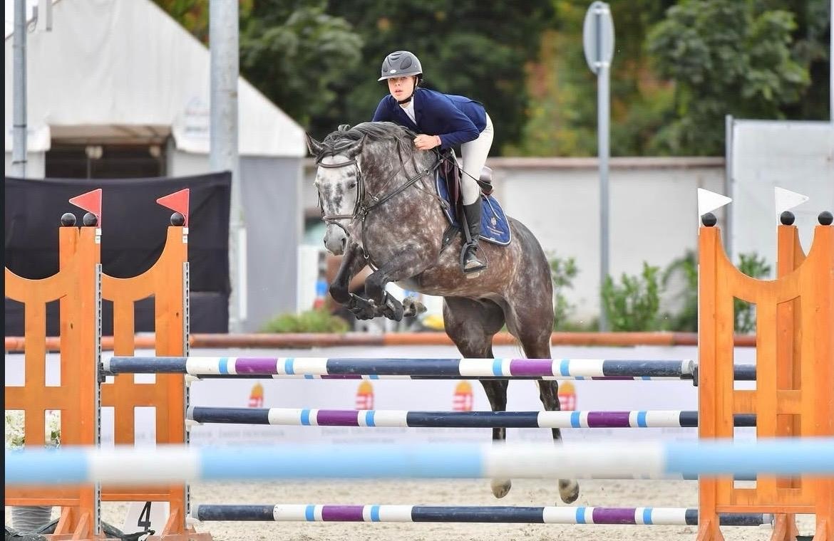 Luxusní klisna do chovu a rekreaci - 7