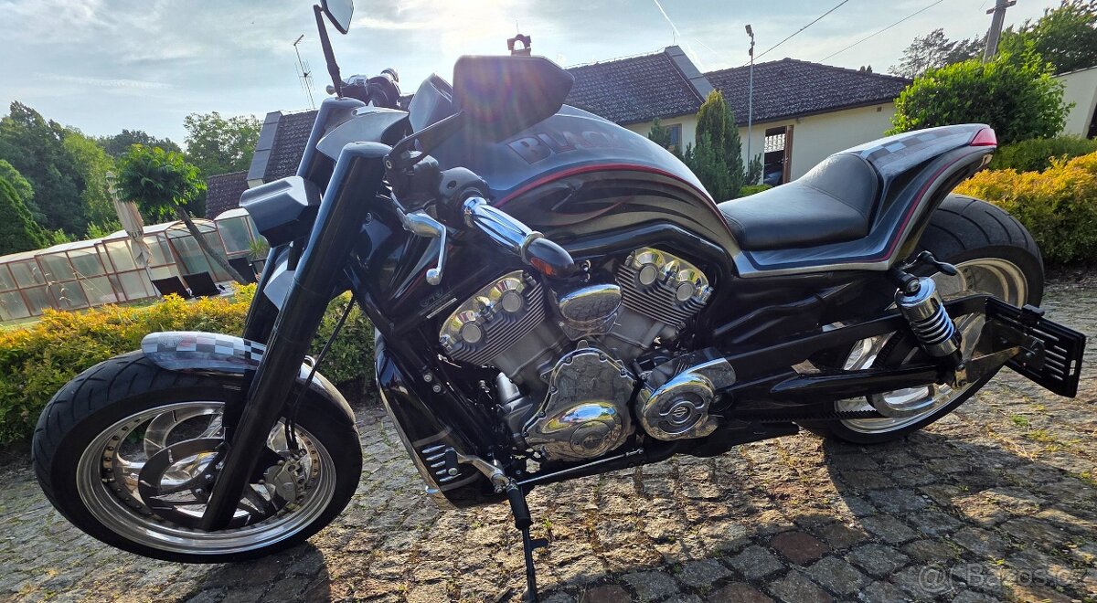 Harley Davidson Black Shot - 7