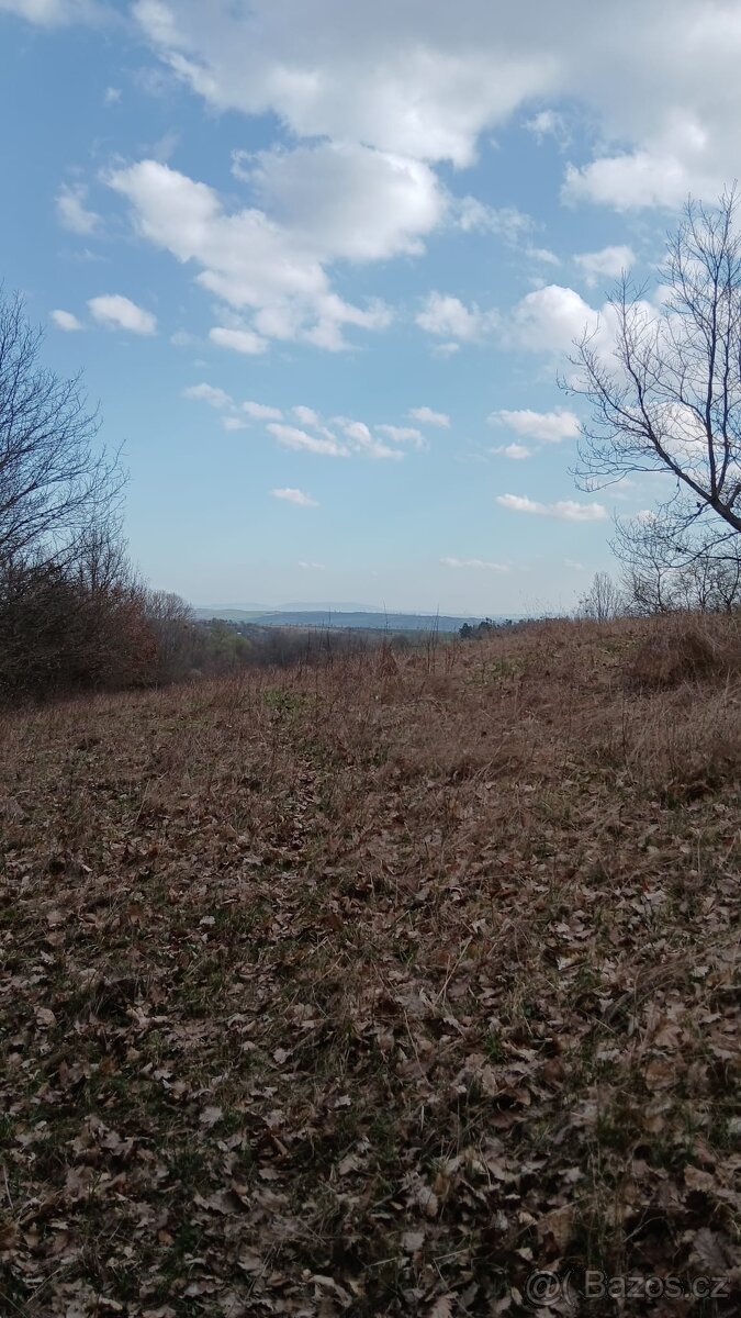 Jalubí - místo pro odpočinek - 7