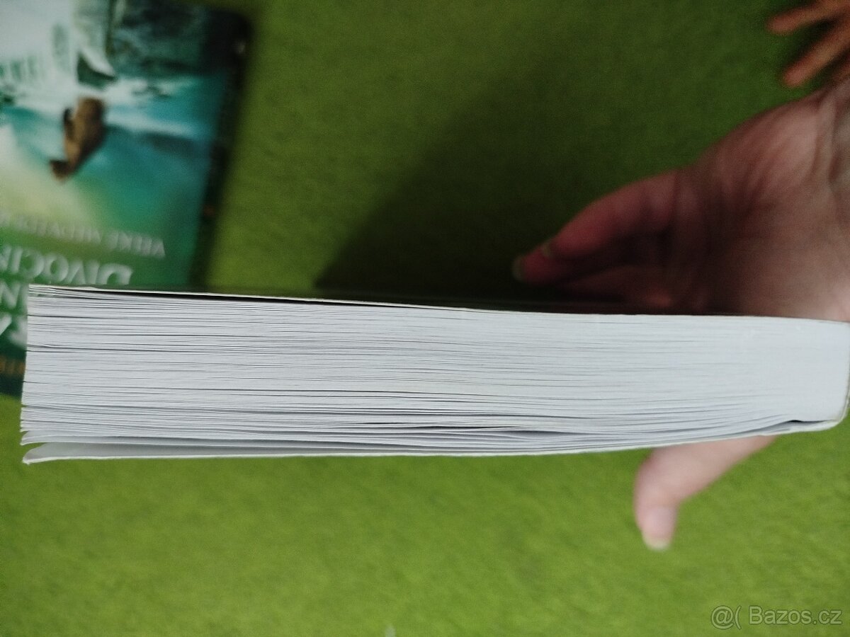 Volání divočiny Erin Hunter - 7