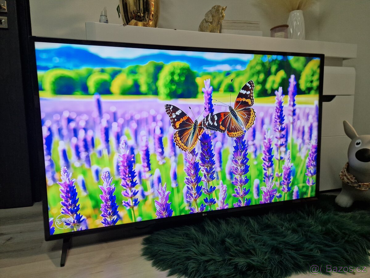 4K UltraHD Televize LG 55UJ6307 černá - 7