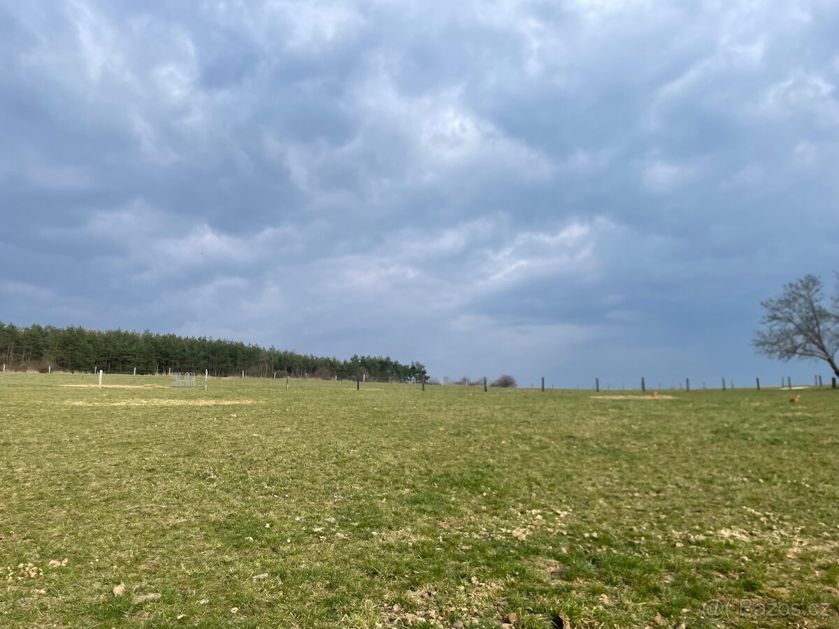 Pastevní ustájení - 7