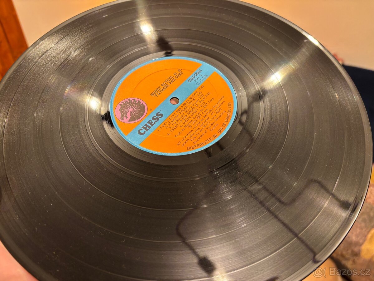 MUDDY WATERS - Fathers And Sons. LP - 7