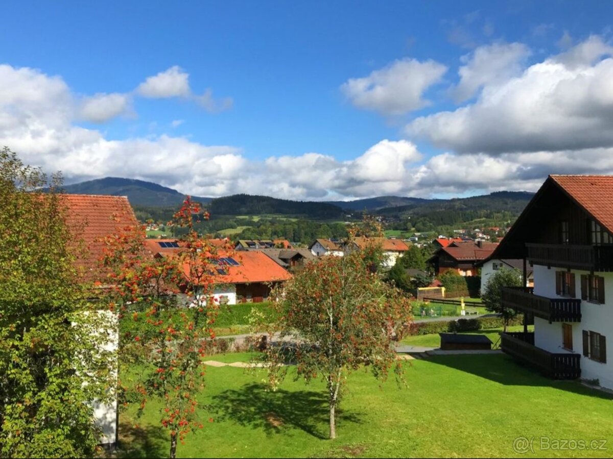 Byt 1+kk Zwiesel - 7