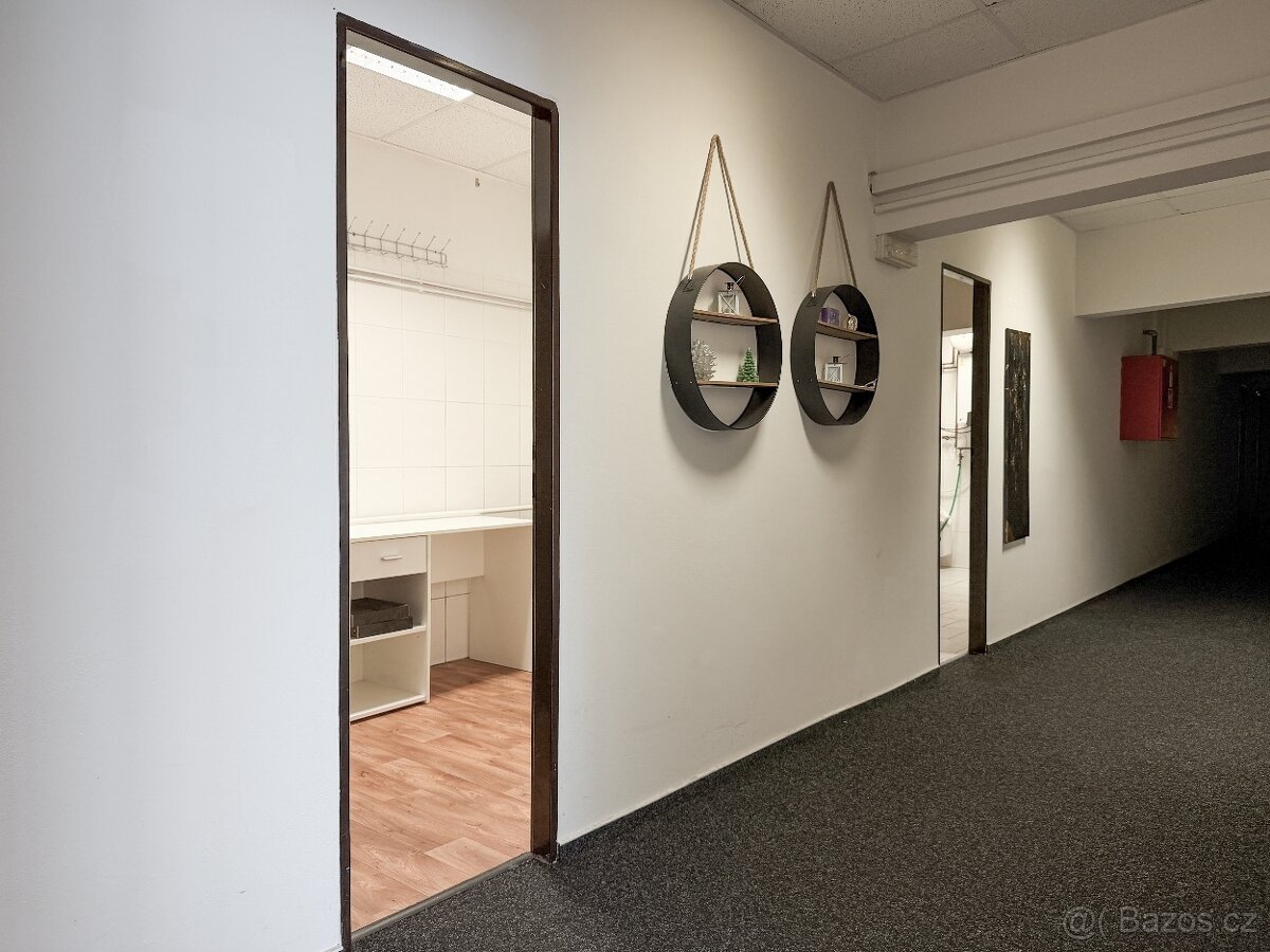 Pronájem obchodních prostor 31 m² - 7