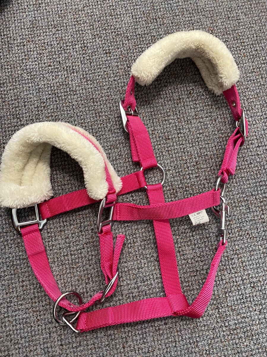 Eskadron, sako, sedlo nove, bandáže, - 7