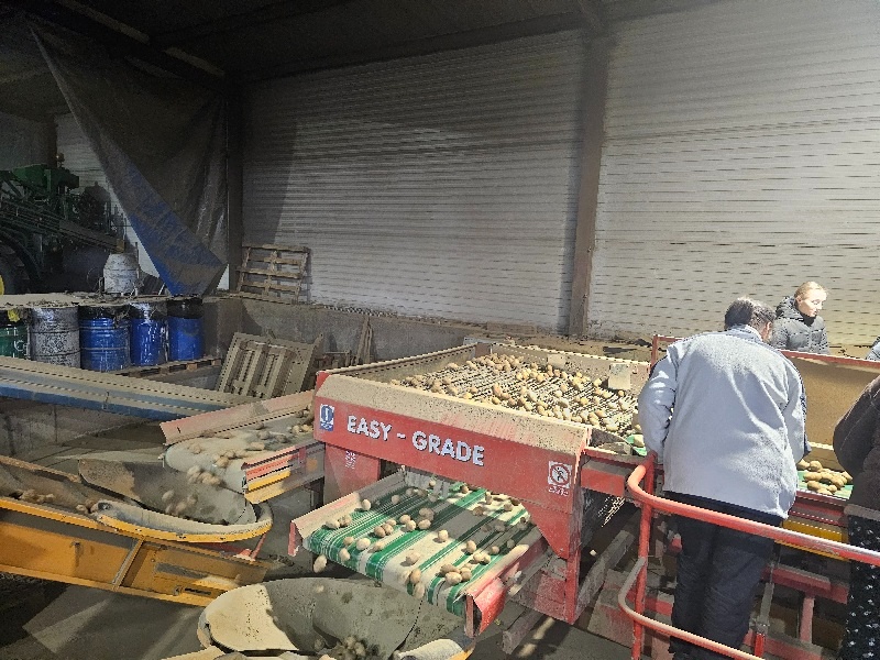 Bijlsma Hercules - 7