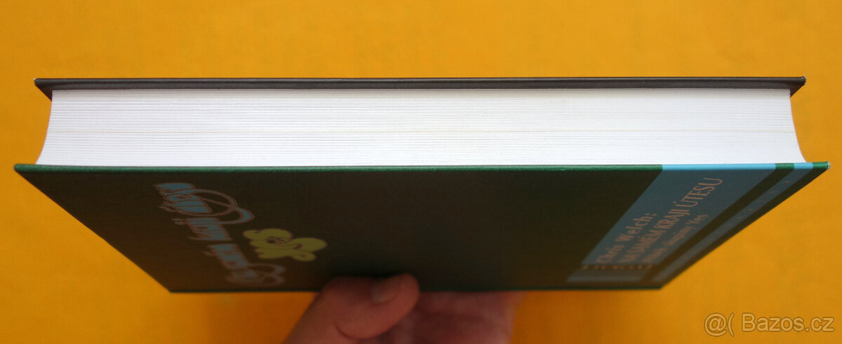 Na samém kraji útesu / příběh skupiny Yes - Chris Welch - 7