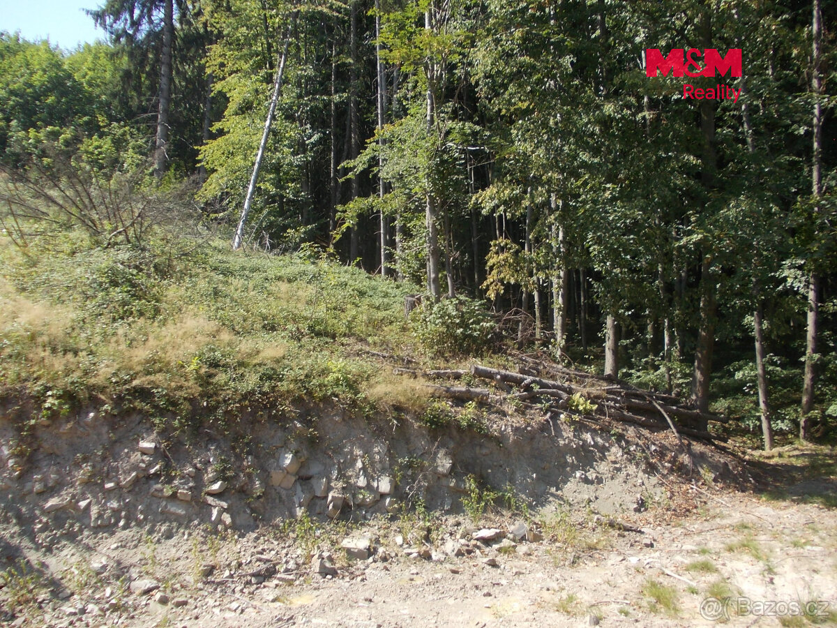Prodej chaty, 36 m², Pstruží - 7
