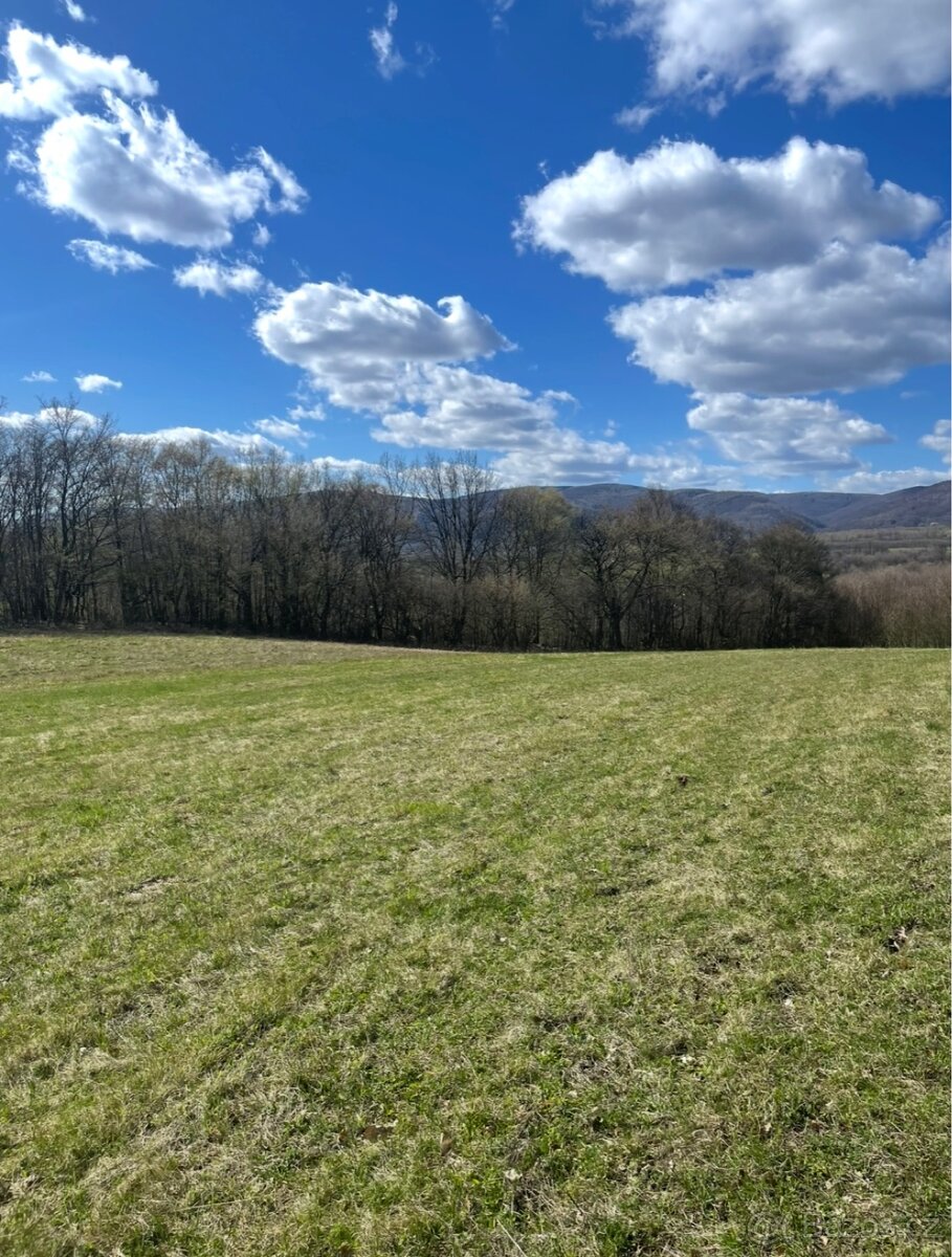 Boxové ustájení - 7