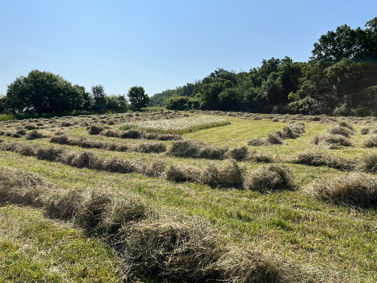 Prodej lučního sena - 7