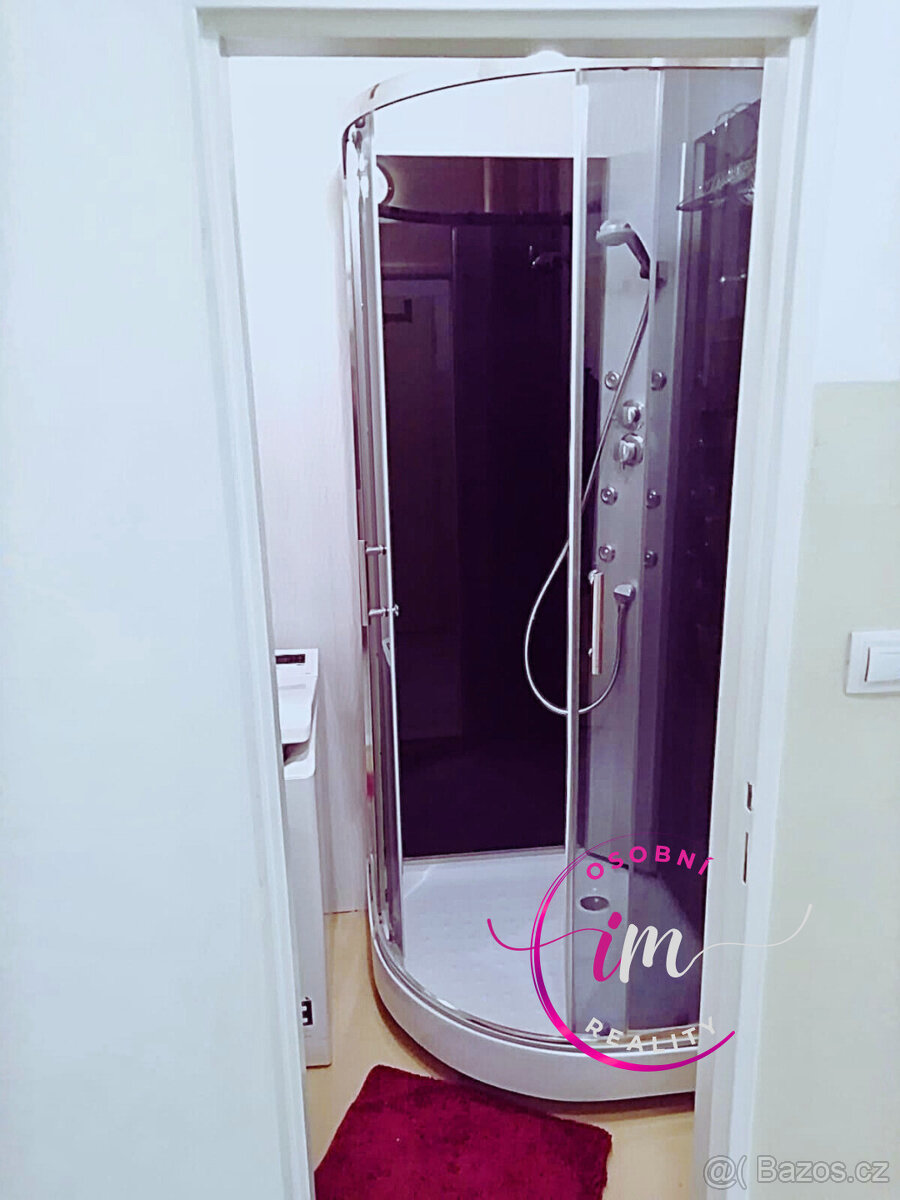 Pronájem bytu 2+1 Třebíč, Demlova - 7