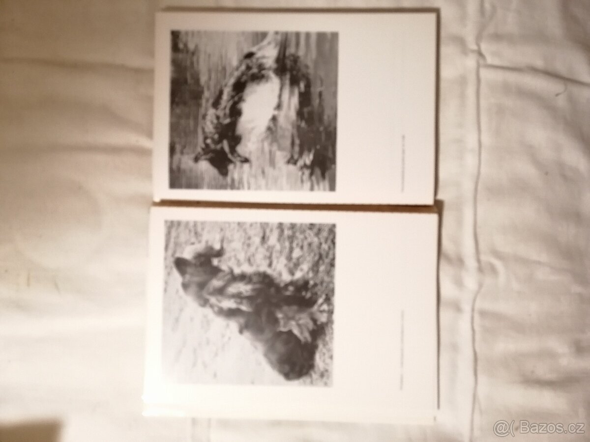 ABC Myslivosti Robert Wolf - 7