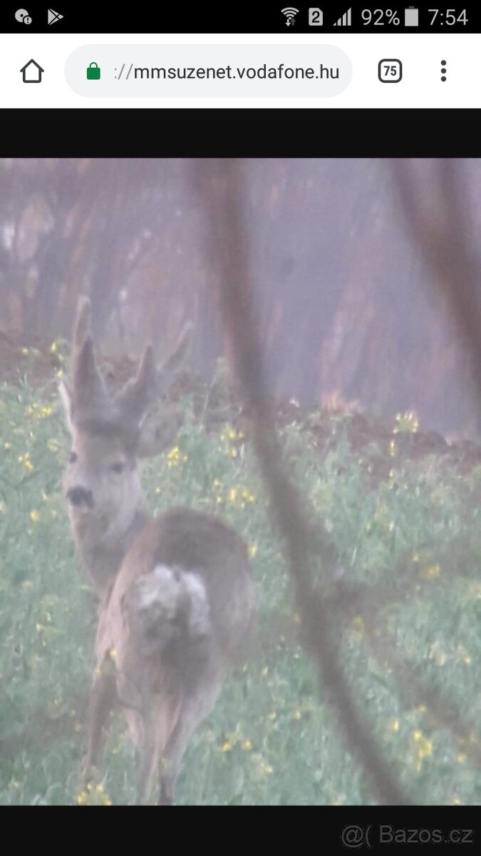 Polovačka v maďaesku - 7