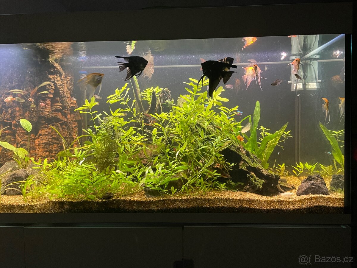 Akvárium EHEIM Incpiria 600L - 7