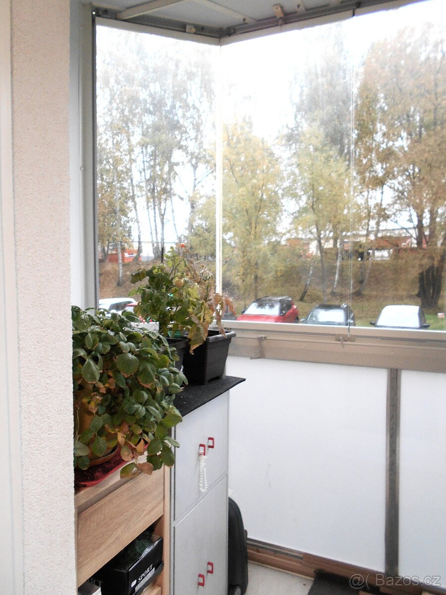 Prodej bytu 1+1 40 m² Haškova, Žďár nad Sázavou - 7