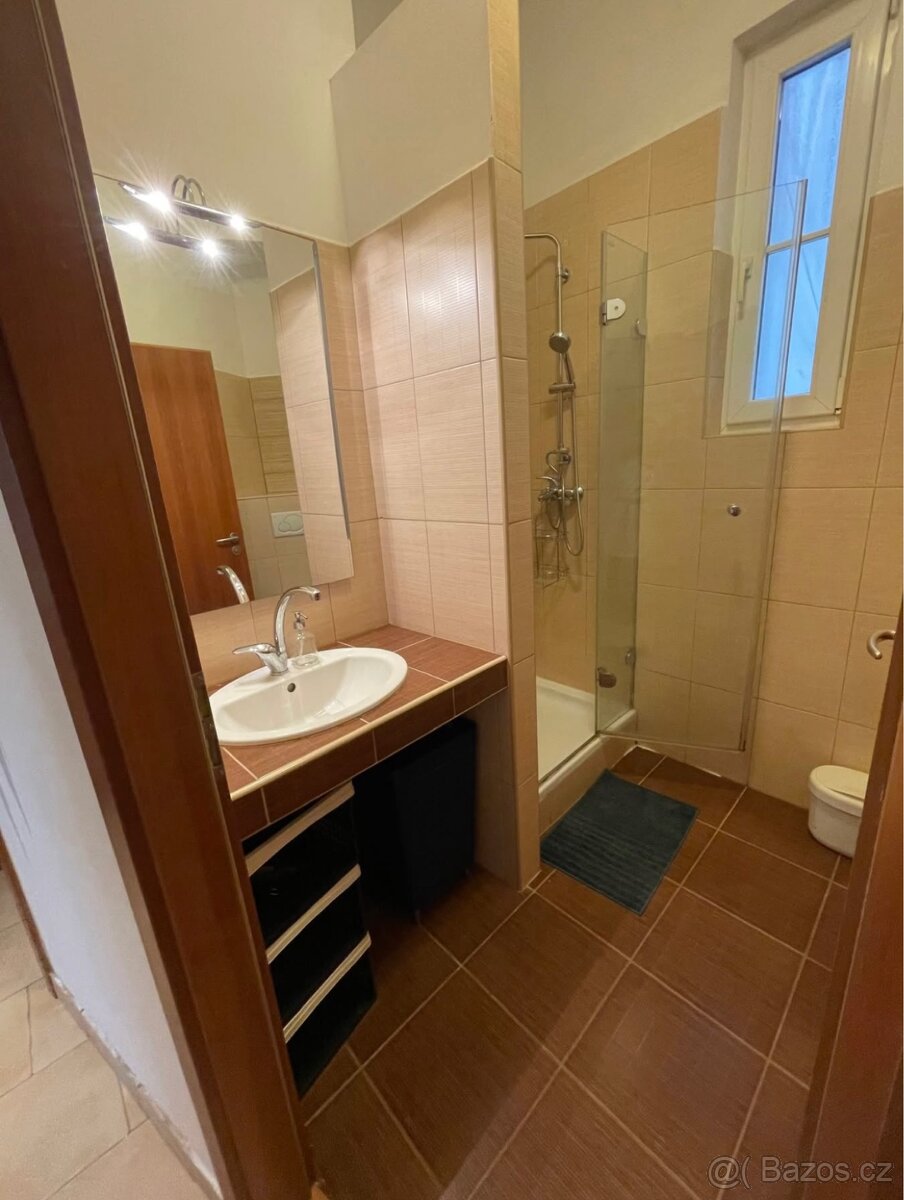 Pronájem bytu 2+1 Vinohrady - 7