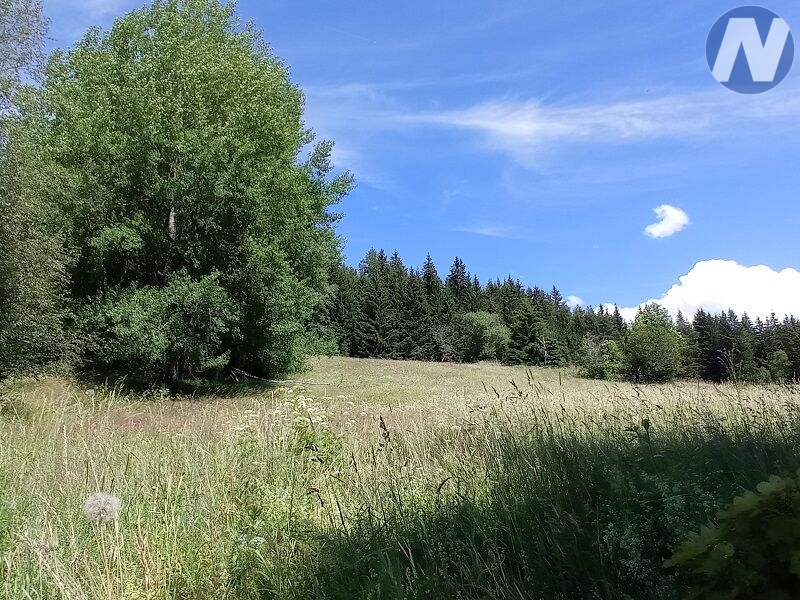 Černá Lada, pozemek s výměrou 22.888 m2 - 7