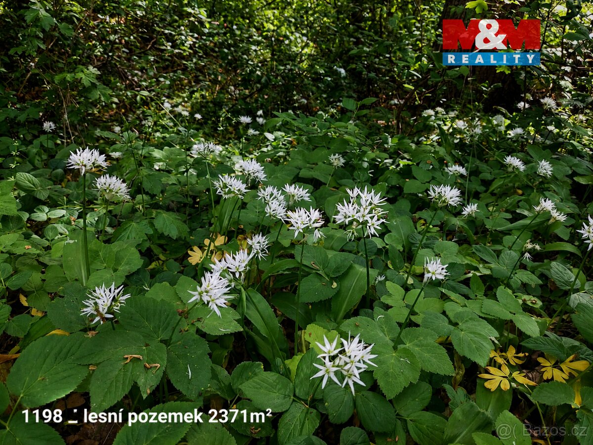 Prodej pozemku, 151762 m², Pňov-Předhradí – další