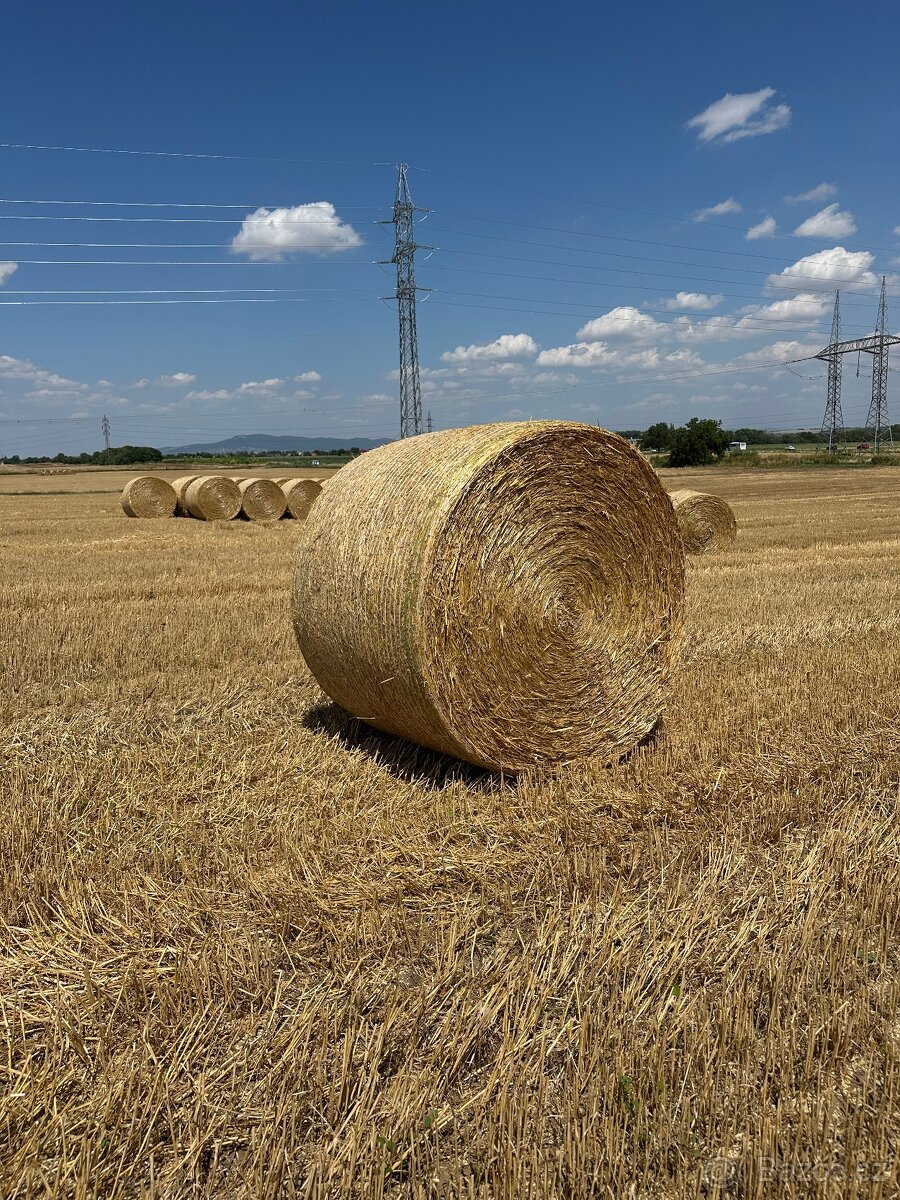 Pšeničná slama guľaté baliky - 7