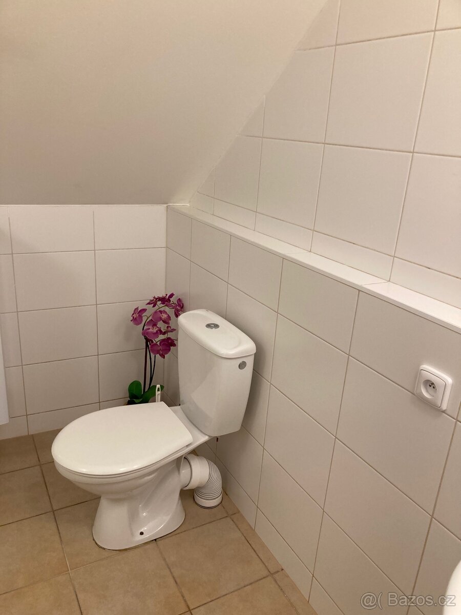 Pronájem bytu - 7
