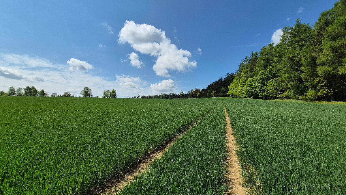 Prodej pozemku 5776 m2 v Borové u Poličky, okr. Svitavy - 7