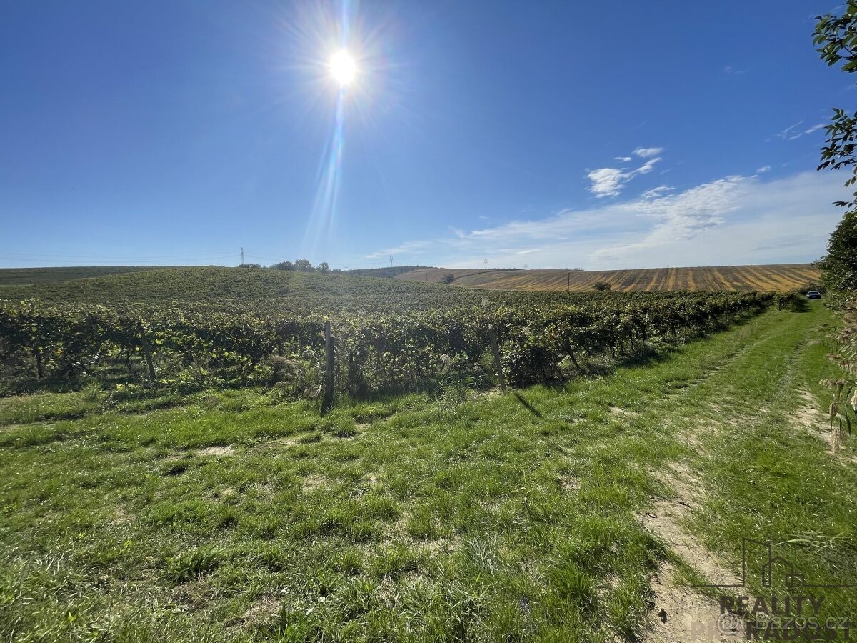 Prodej vinohradu 11340 m2 Čejkovice, Vinohrad 11340 m2 Čejk - 7