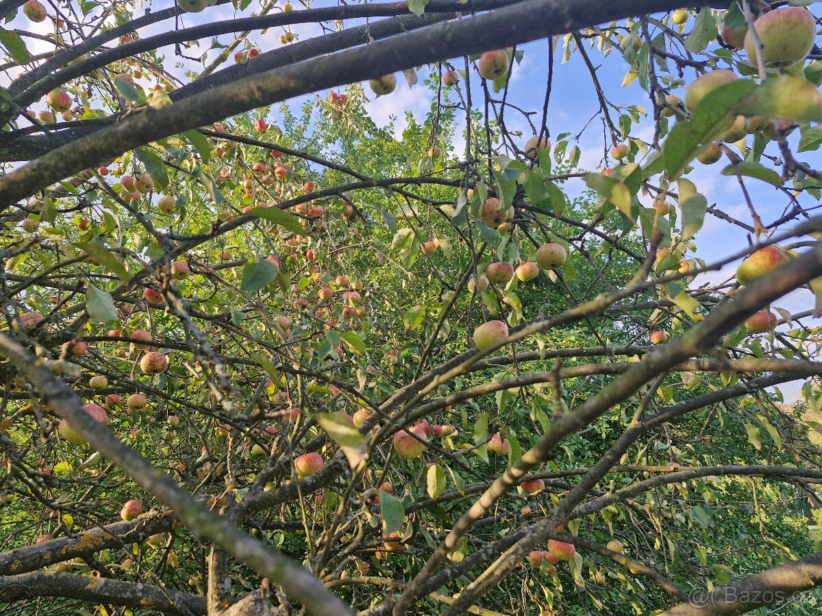Prodej - pozemek ke stavbě rodinného domu - Štramberk - 7