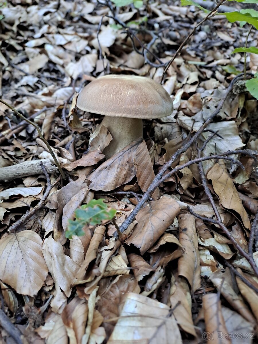 Predaj chaty na Kykule - 7