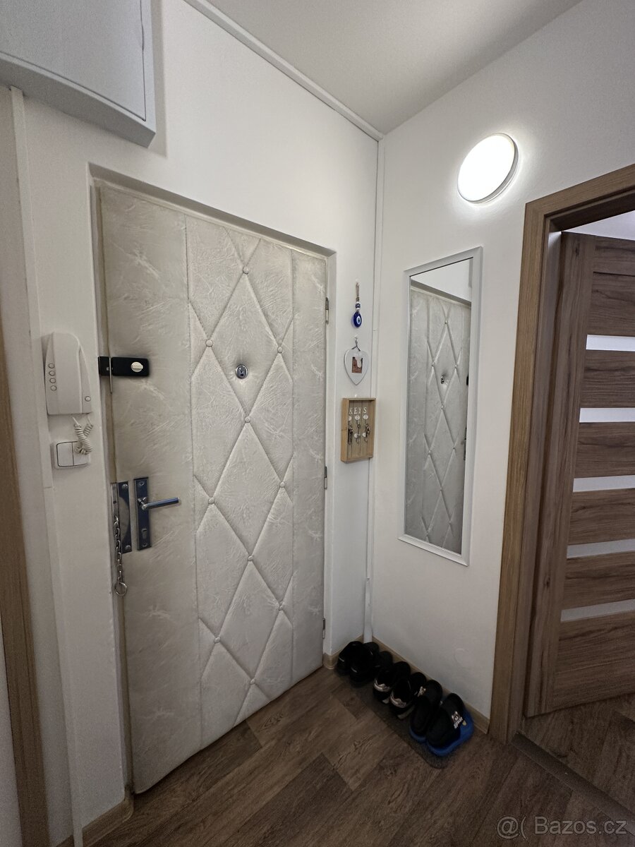 Prodám nebo vyměním byt 1+1 - úprava na 2+1 - 7