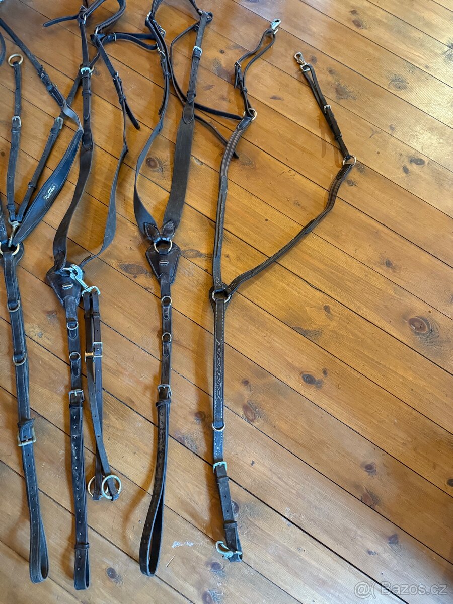 kožené vybavení - 7