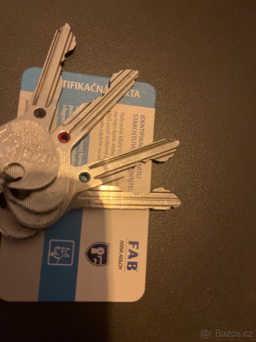 Dveře do bytu protipožární 80P - 7