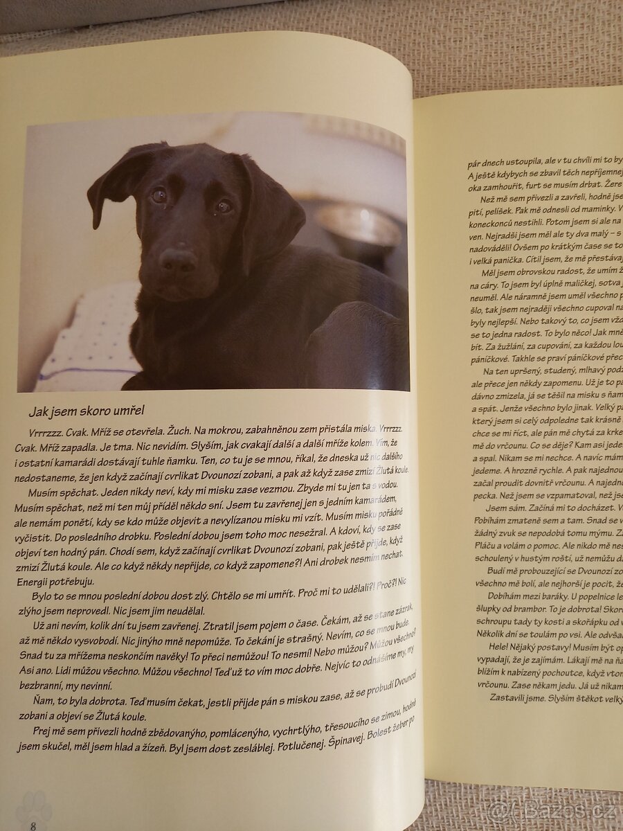 Z útulku až k moři - 7