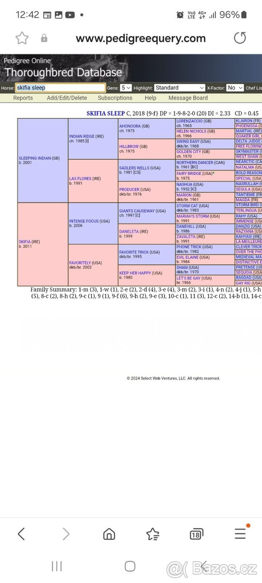 Predam žrebca anglickeho plnokrvnika A1/1 - 7