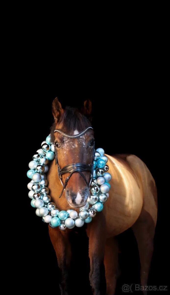 Pony B do sportu - 7