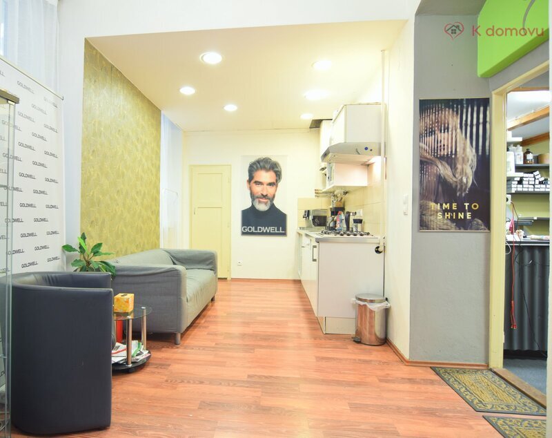 Prodej bytu 2+1, 66 m2, Staré Brno, Hybešova - 7