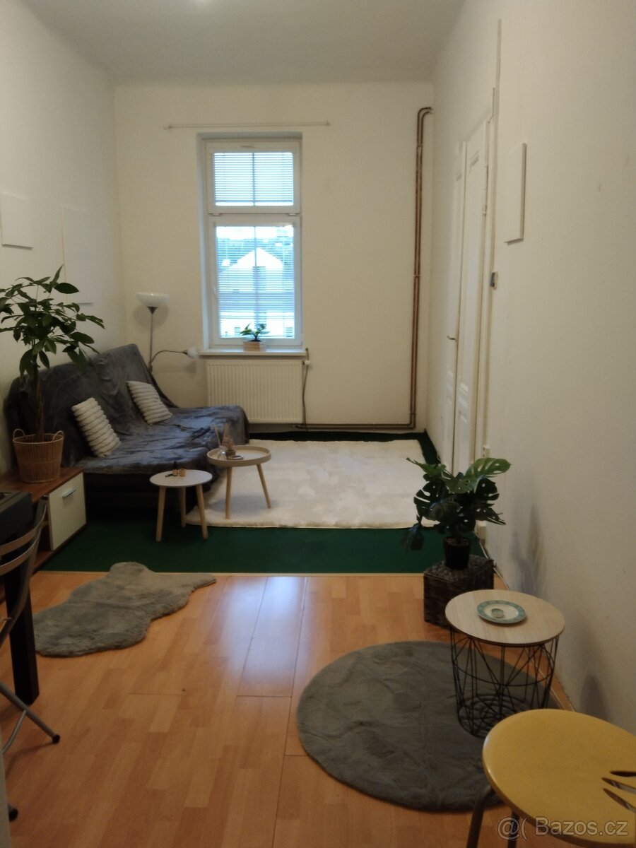 Pronájem bytu 2+1 – Slovany - 7