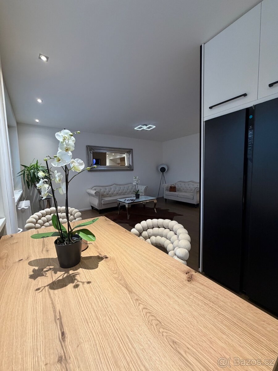 Prodej bytu 2+1 s balkonem 54m Stankova - 7