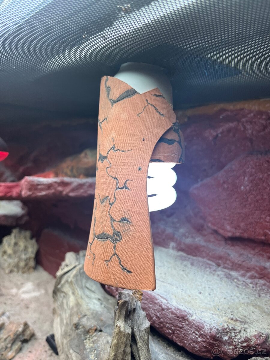 Prodám agamu+ všechny vybaveni. Rychlá koupe sleva 500 a vic - 7