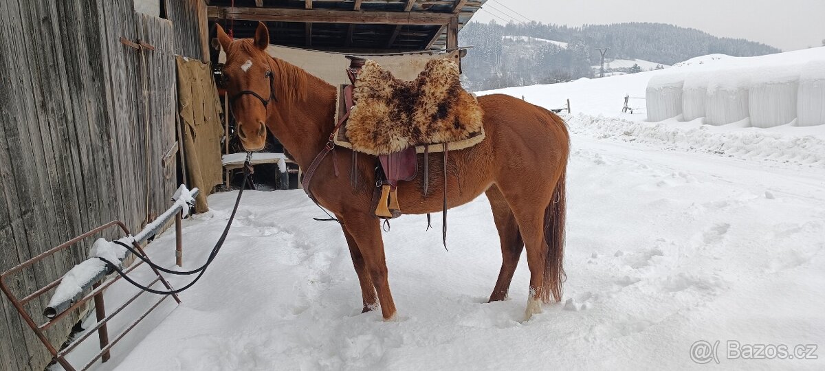 Prodej květen- červen - 7